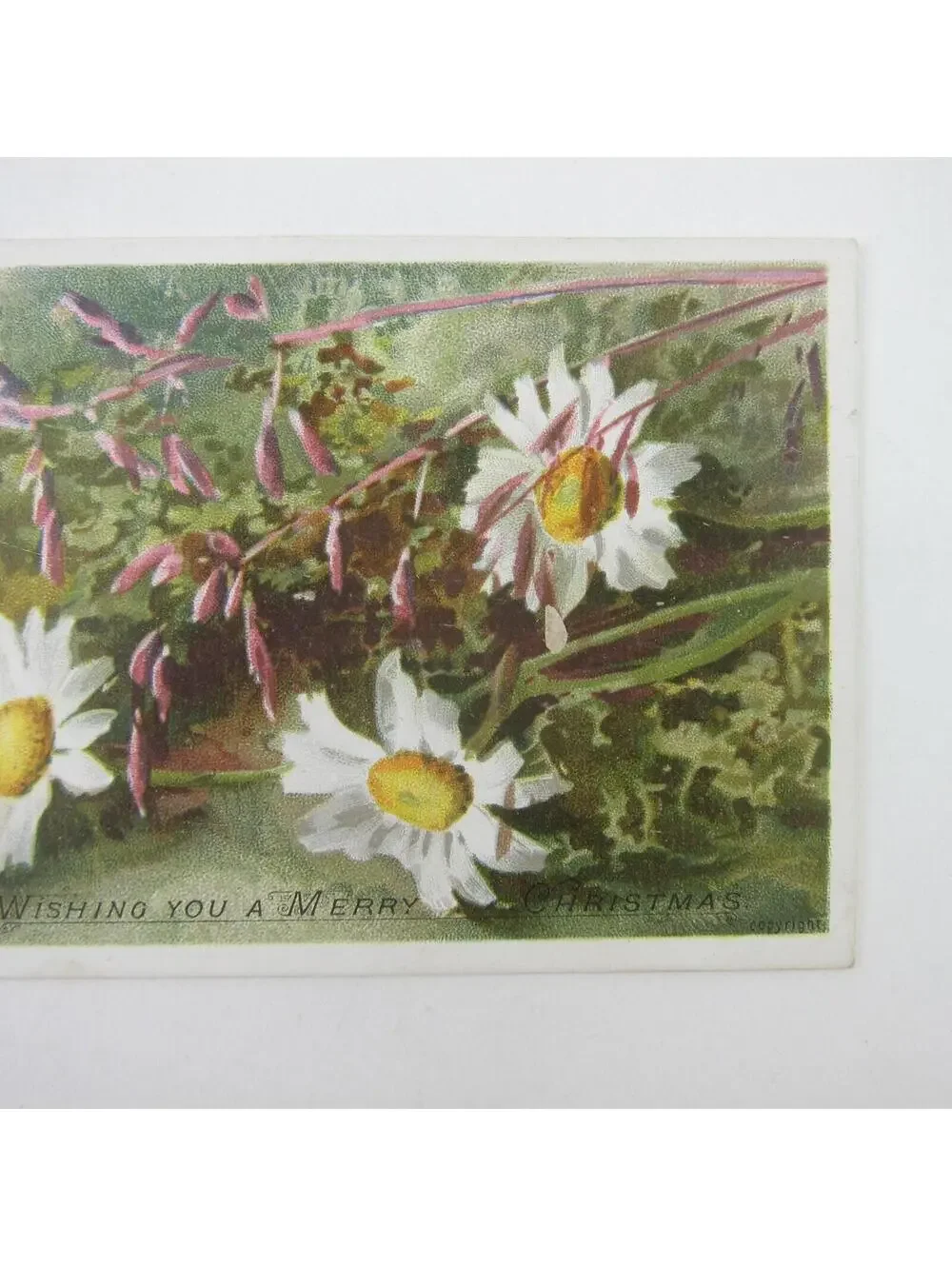 Victorian Christmas Card Hildesheimer & Faulkner Pink White Daisy Flower Antique